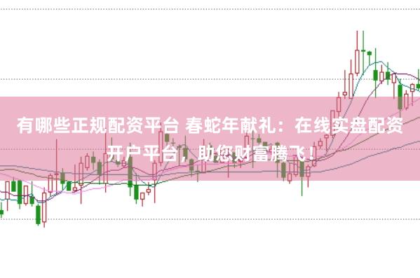 有哪些正規(guī)配資平臺(tái) 春蛇年獻(xiàn)禮：在線實(shí)盤(pán)配資開(kāi)戶平臺(tái)，助您財(cái)富騰飛！