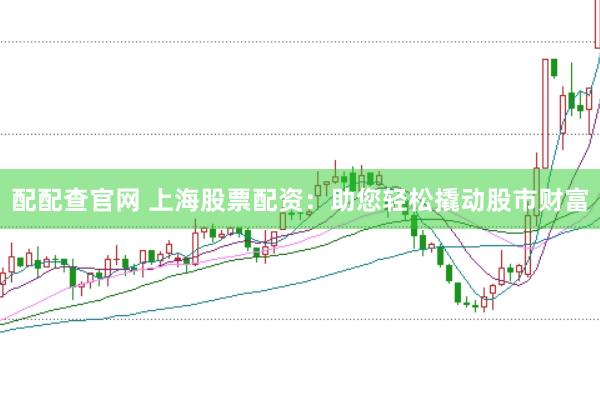 配配查官網 上海股票配資：助您輕松撬動股市財富
