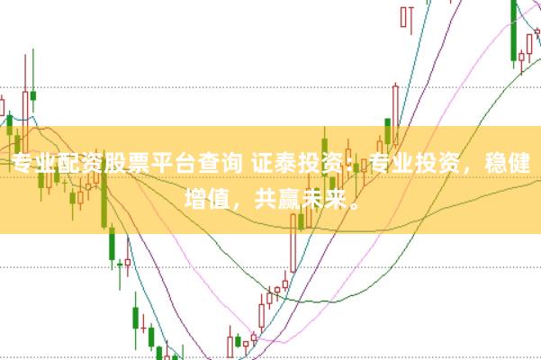專業(yè)配資股票平臺查詢 證泰投資：專業(yè)投資，穩(wěn)健增值，共贏未來。