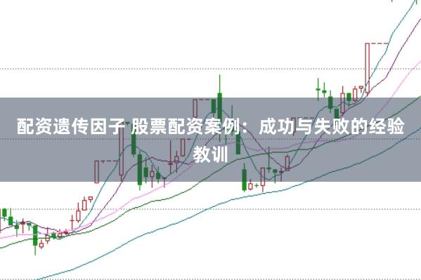 配資遺傳因子 股票配資案例：成功與失敗的經驗教訓