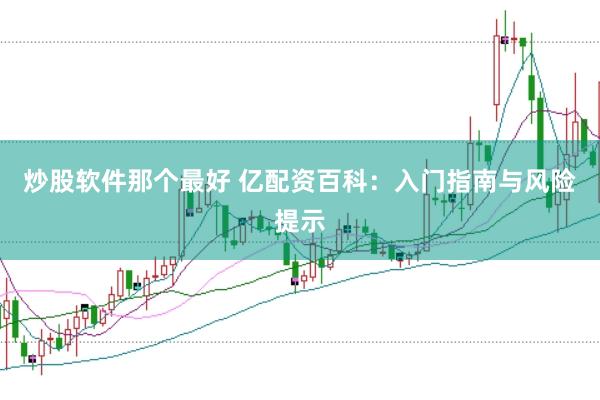 炒股軟件那個最好 億配資百科：入門指南與風險提示