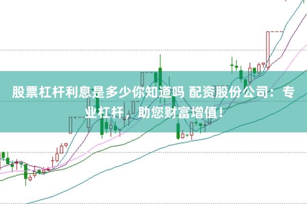 股票杠桿利息是多少你知道嗎 配資股份公司：專業杠桿，助您財富增值！