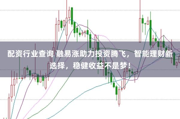 配資行業查詢 融易漲助力投資騰飛，智能理財新選擇，穩健收益不是夢！