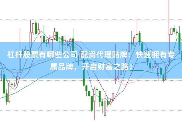 杠桿股票有哪些公司 配資代理貼牌：快速擁有專屬品牌，開啟財富之路！