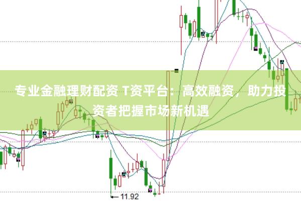 專業金融理財配資 T資平臺:高效融資,助力投資者把握市場新機遇