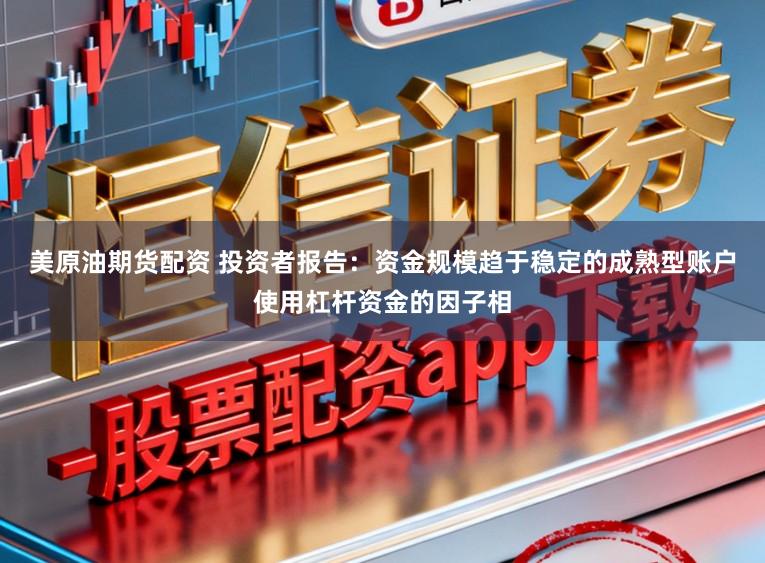 美原油期貨配資 投資者報告：資金規模趨于穩定的成熟型賬戶使用杠桿資金的因子相