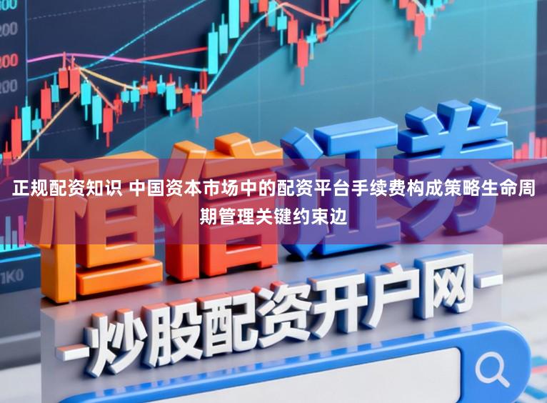 正規配資知識 中國資本市場中的配資平臺手續費構成策略生命周期管理關鍵約束邊