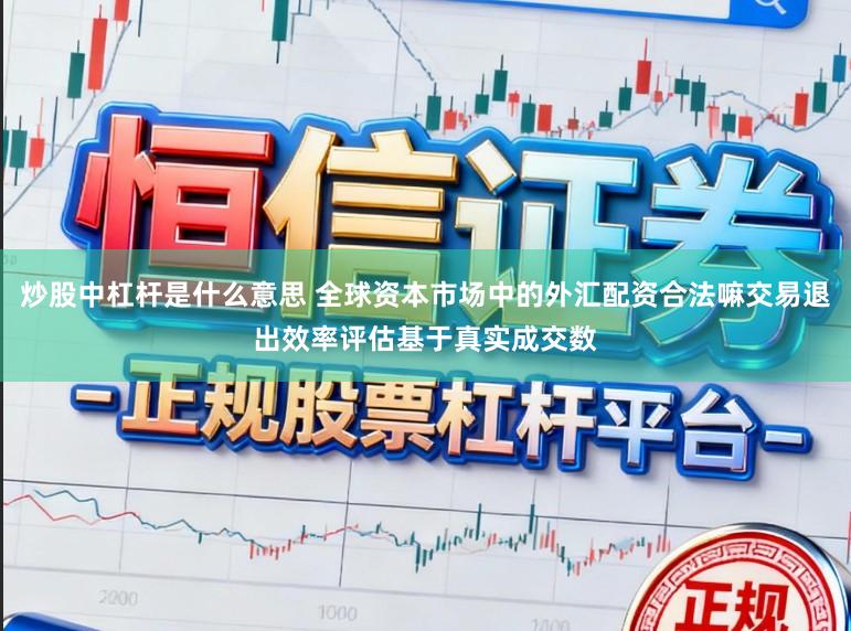 炒股中杠桿是什么意思 全球資本市場(chǎng)中的外匯配資合法嘛交易退出效率評(píng)估基于真實(shí)成交數(shù)